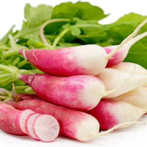 French Raddish Organic