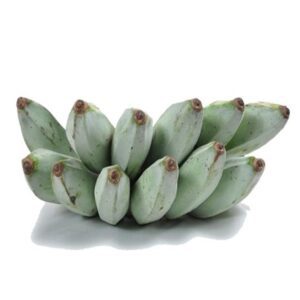 Ash Plantain Organic