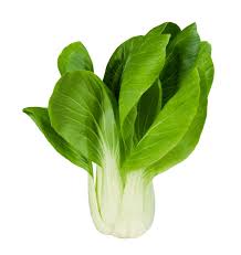 Bok Choy Organic