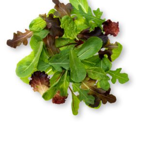 Mixed lettuce (GTE)