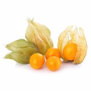 Gooseberry Organic (GTE)