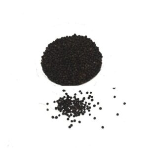 Organic Black Pepper seeds Bulk (GTE)