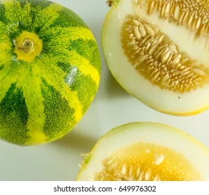 Organic Cooking Melon ( Kekiri )