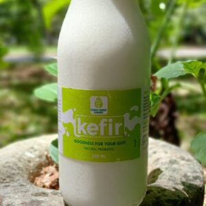 Kefir Plain CHUF Large