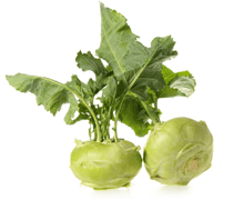 Knol khol (GTE)