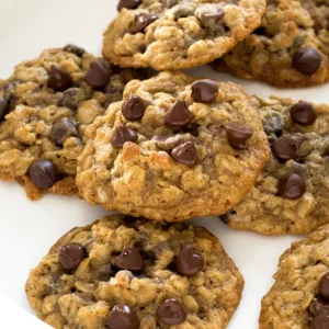 Cookie Oat Chocolate Chip Vegan MILK (GTE)