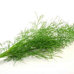 Dill Organic (GTE)