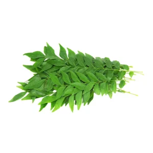 Curry Leaf Bunches Organic