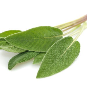 Sage Organic