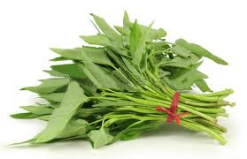 Kankun Pack organic (GTE)